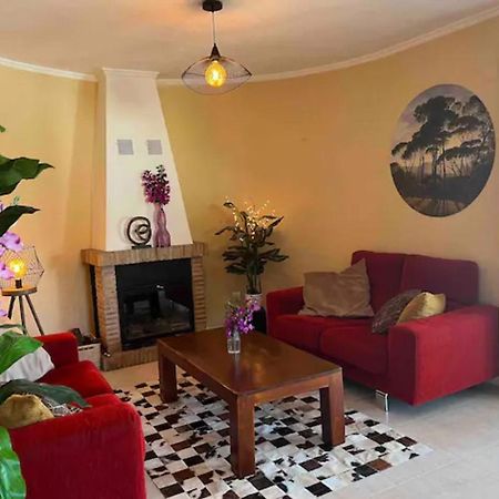 Villa Casa Joli In Oliva With Private Pool And Stunning Views Ngoại thất bức ảnh